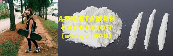прущие грибы Вяземский
