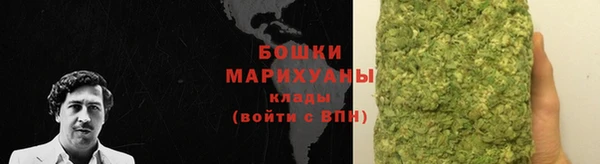 прущие грибы Вяземский
