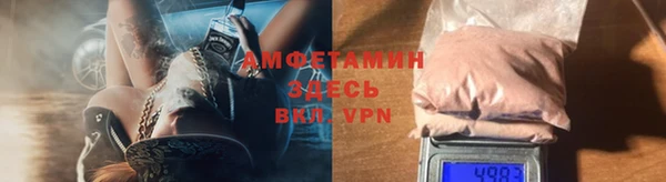 прущие грибы Вяземский
