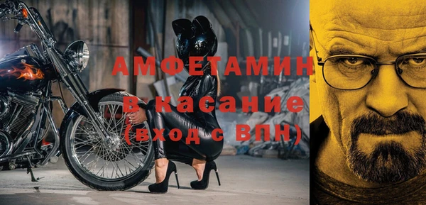 прущие грибы Вяземский