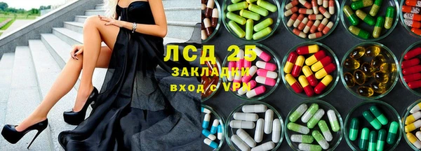 прущие грибы Вяземский