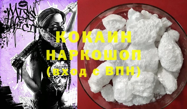 прущие грибы Вяземский